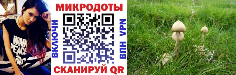 наркотики  дарк нет телеграм  Галлюциногенные грибы MAGIC MUSHROOMS  Лебедянь 